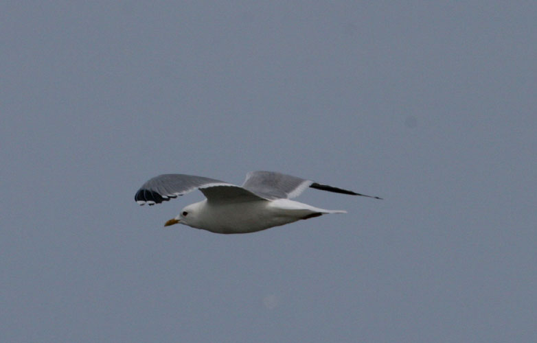 vlieland_20060531_568